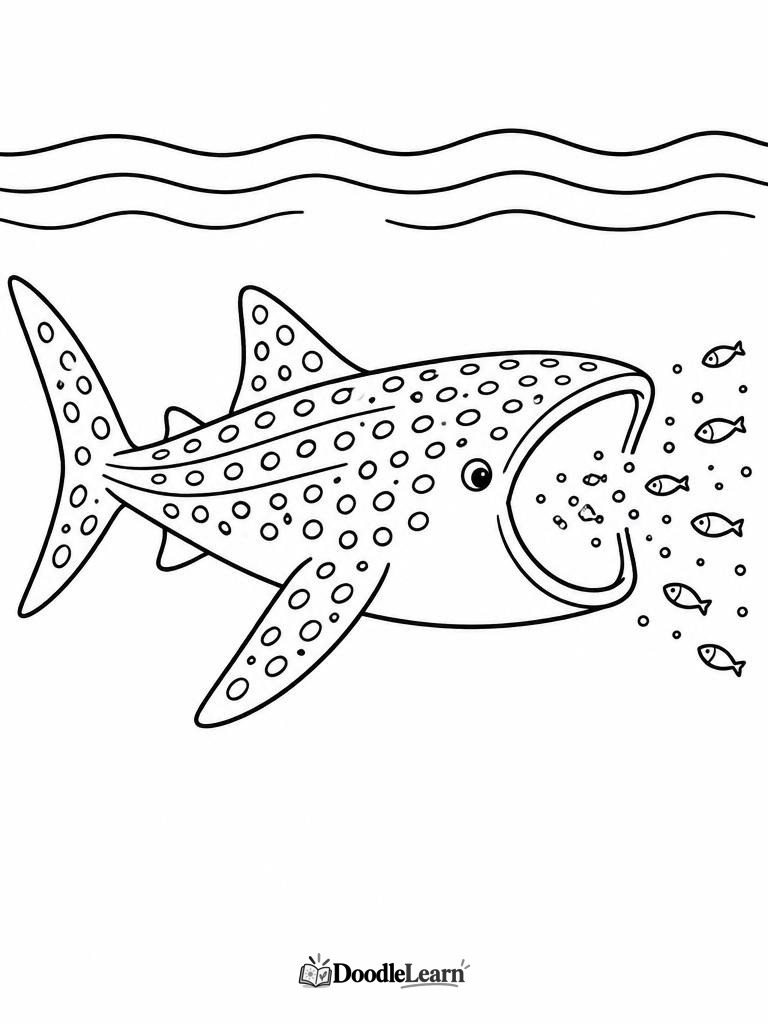 Whale shark filter feeding with its mouth open printable coloring page