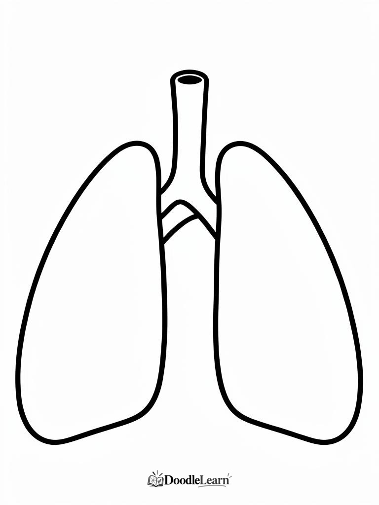 Free printable The Heart coloring page for kids