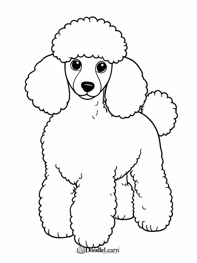 Free printable poodle coloring page for kids