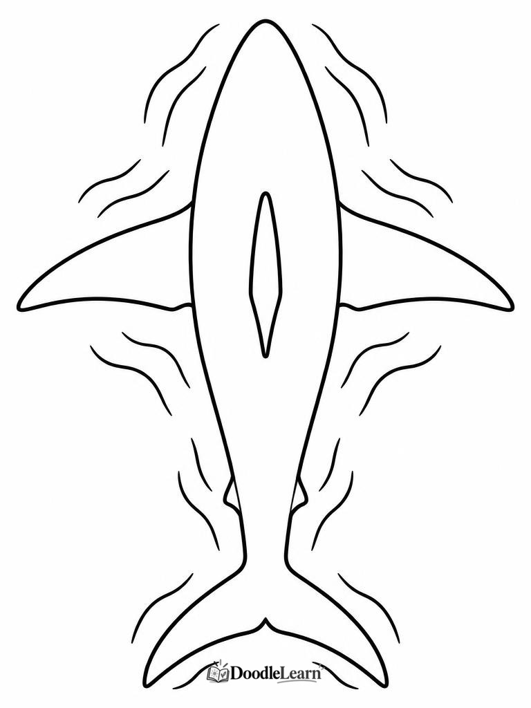 Great white shark viewed from above printable coloring page